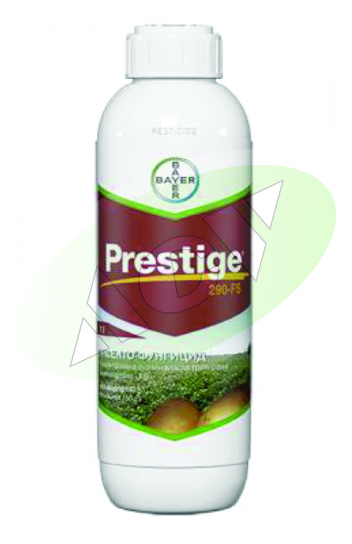 PRESTIGE 290 FS 1|1